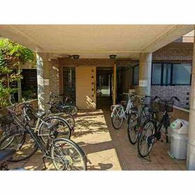 5/16 その他画像