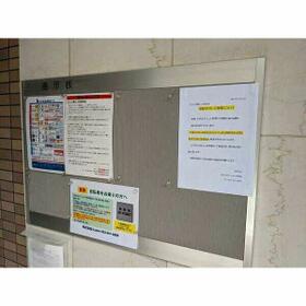 6/16 その他画像