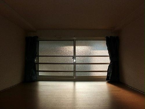 5/11 その他画像