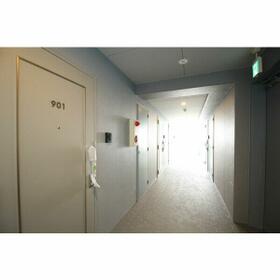 8/16 その他画像