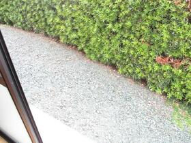 8/16 バルコニー