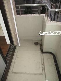 6/11 その他画像