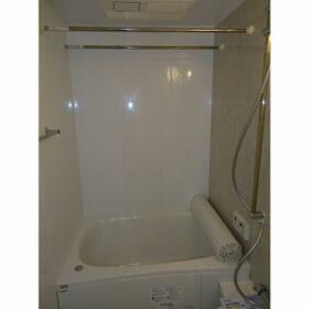 8/14 その他画像