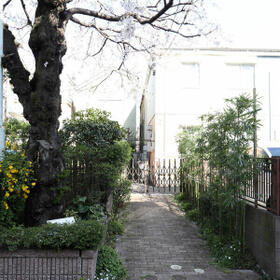 4/13 その他画像