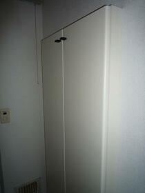 11/11 その他画像