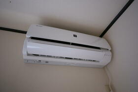 29/29 その他画像