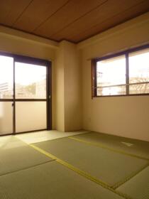 5/11 その他画像