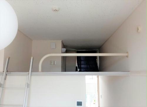 8/11 その他画像