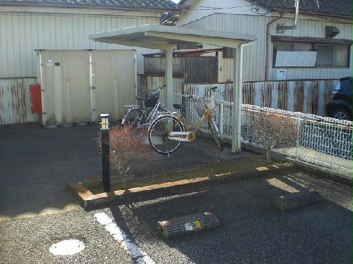 その他画像