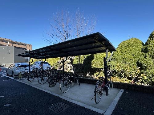 11/17 その他画像