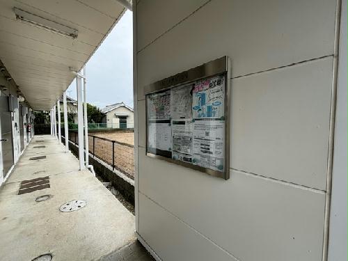 11/24 その他画像