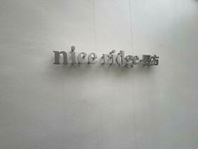 11/15 その他画像