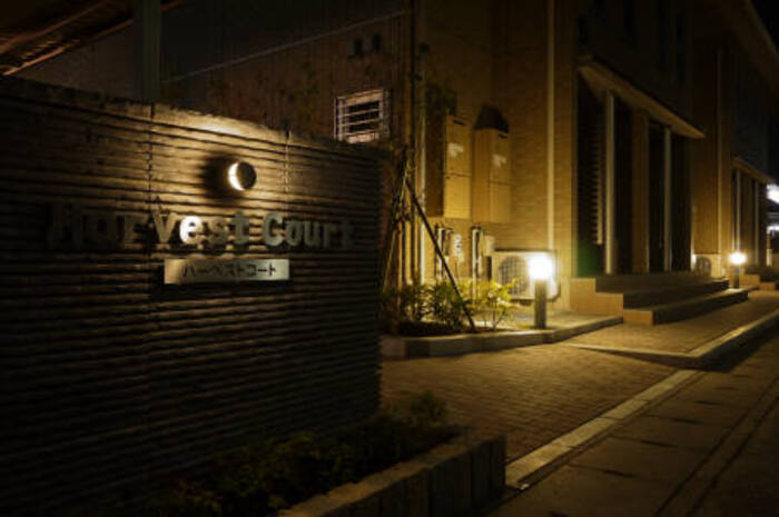 6/19 その他画像