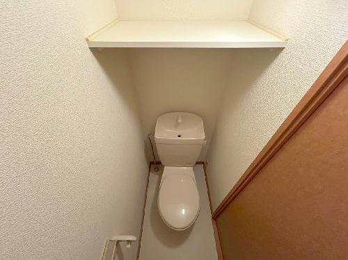 8/14 その他画像