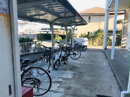 11/16 その他画像