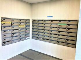 7/16 その他画像