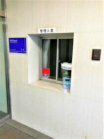 8/16 その他画像