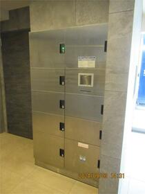 15/24 その他画像