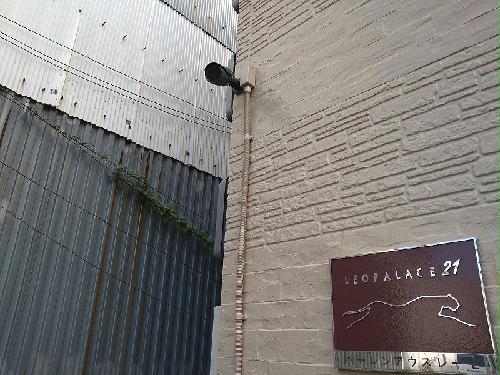 11/14 その他画像