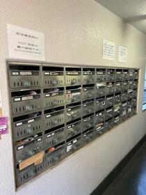 15/16 その他画像