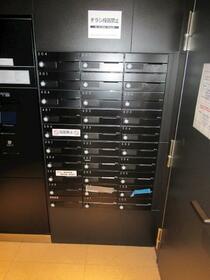 15/16 その他画像