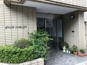 13/13 その他画像