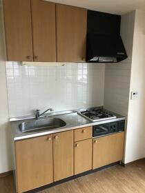 3/13 その他画像