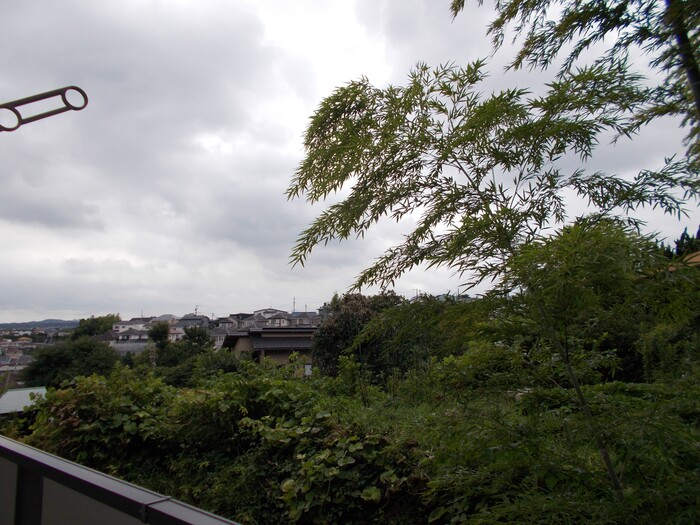 13/13 その他画像