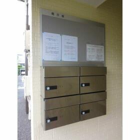 3/13 その他画像