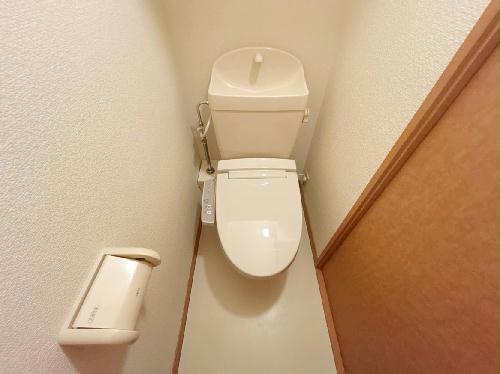 8/14 その他画像