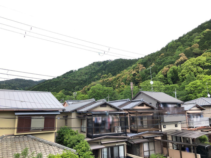 16/19 その他画像