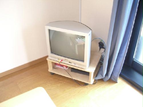 6/11 その他画像