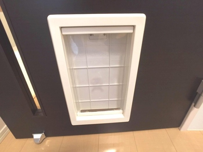 19/20 その他画像