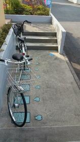 14/14 その他画像