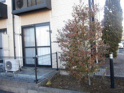 10/21 バルコニー