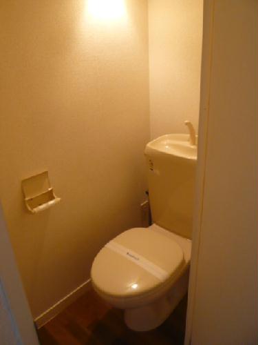 8/14 その他画像