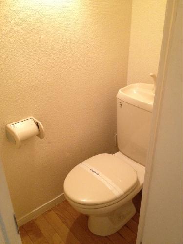 5/13 その他画像