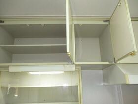 15/16 その他画像