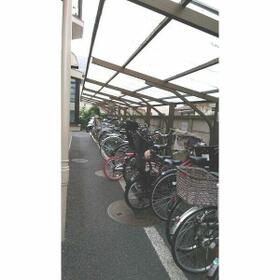 11/16 その他画像