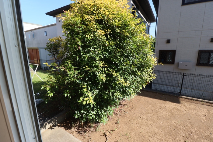 18/20 その他画像