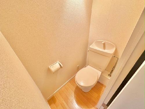 8/14 その他画像