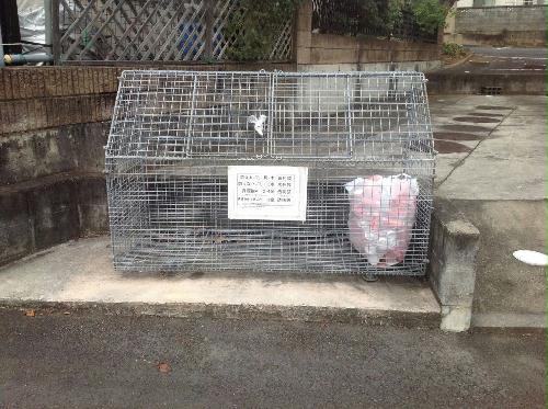 9/14 その他画像