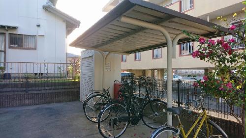 11/21 その他画像