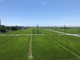 13/19 その他画像