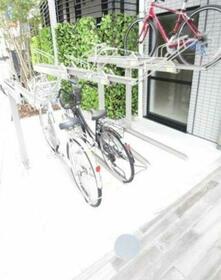 15/17 その他画像