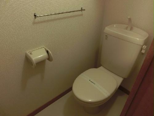 11/14 その他画像