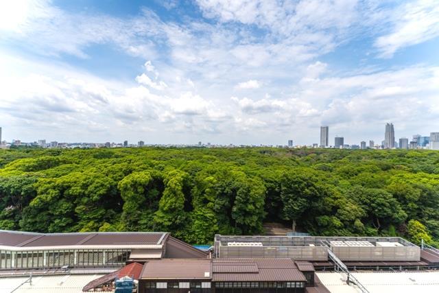 25/29 その他画像