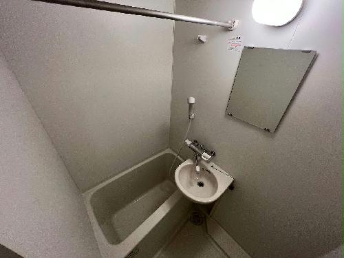 11/19 その他画像