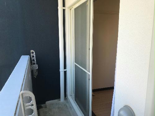 8/19 バルコニー