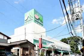 14/19 その他画像